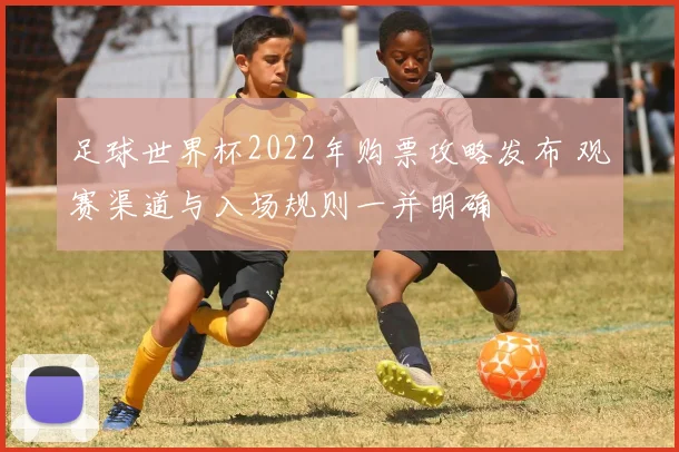 足球世界杯2022年购票攻略发布 观赛渠道与入场规则一并明确