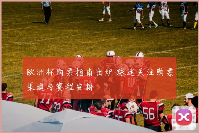 欧洲杯购票指南出炉 球迷关注购票渠道与赛程安排