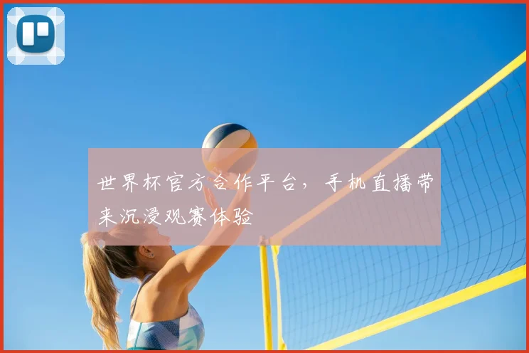 世界杯官方合作平台,手机直播带来沉浸观赛体验