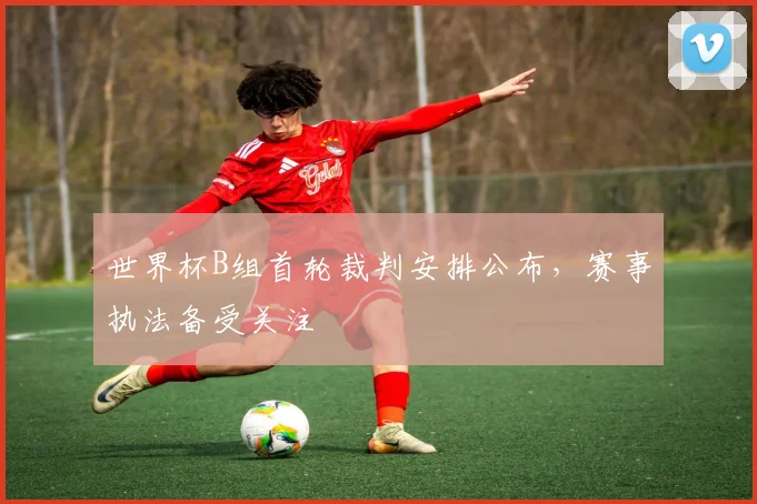 世界杯B组首轮裁判安排公布，赛事执法备受关注