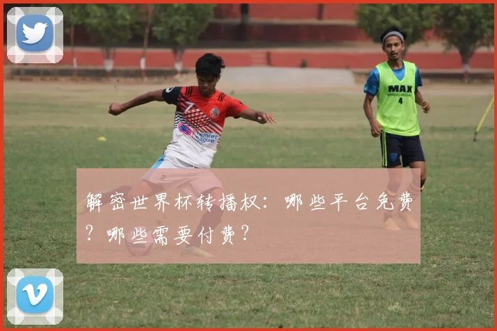 解密世界杯转播权：哪些平台免费？哪些需要付费？