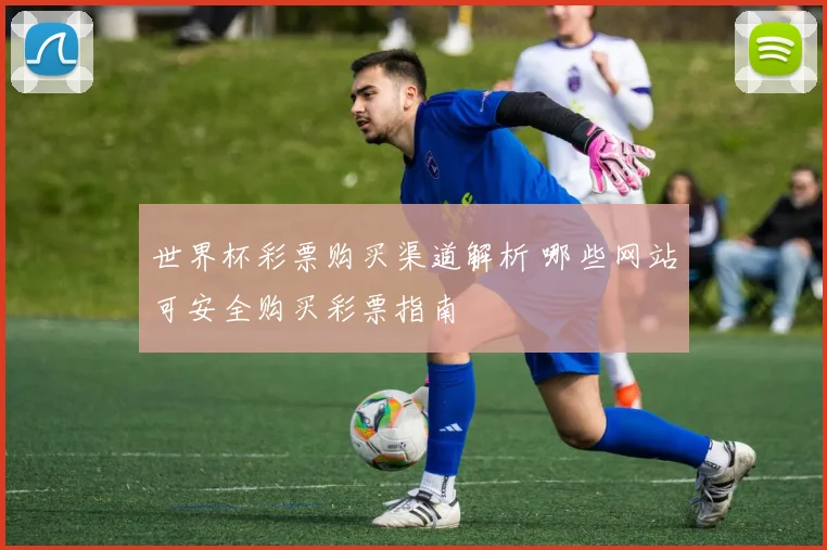 世界杯彩票购买渠道解析 哪些网站可安全购买彩票指南